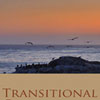 Transitional Care Services